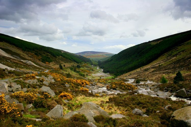 The Wicklow Way
